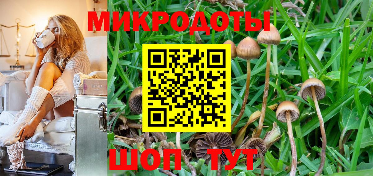 Галлюциногенные грибы Psilocybine cubensis Тихвин