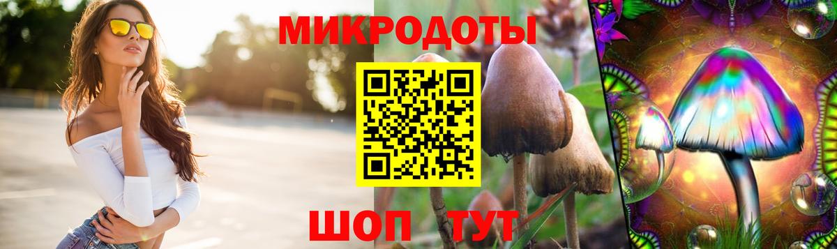 Псилоцибиновые грибы Psilocybine cubensis  Вход с VPN  Галлюциногенные грибы Cubensis  Тихвин 